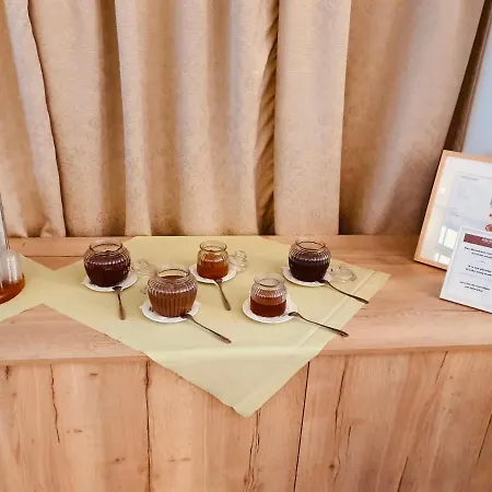 酒店 柯罗尼酒店 3*